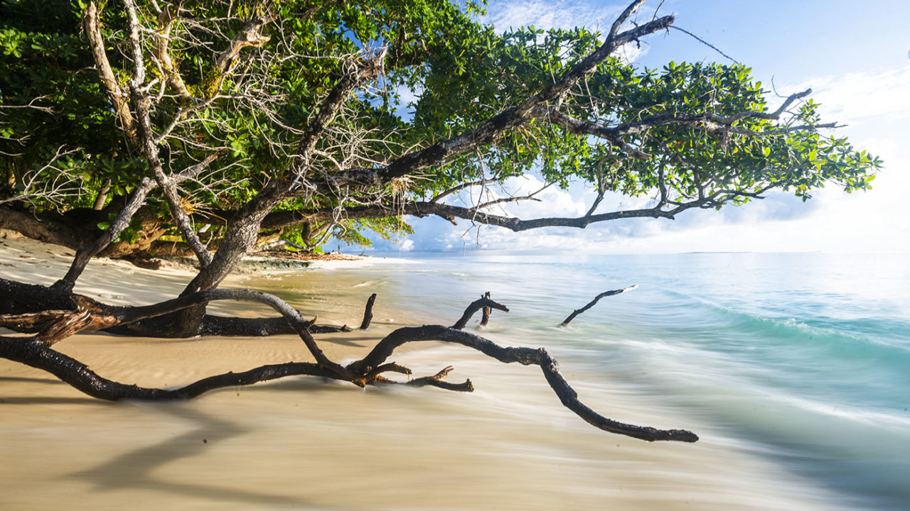 Pinang Island private island